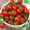 cherry-tomato-fox-seeds-1