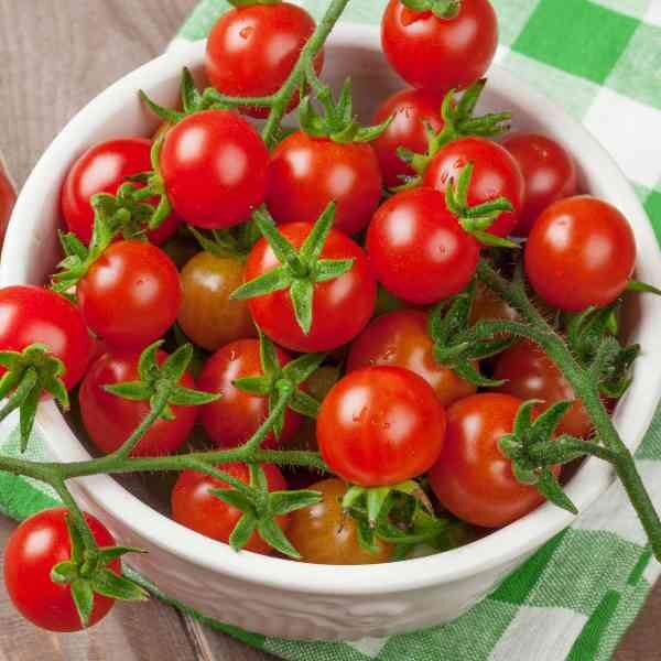 cherry-tomato-fox-seeds-1 cherry-tomato-fox-seeds-1