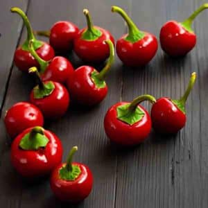 Chilli Red Cherry Hot