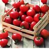 chilli-red-cherry-hot-seeds-3