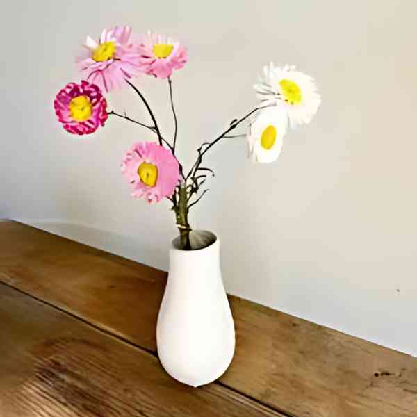 Paper Daisies arranged in a white vase on a wooden shelf.