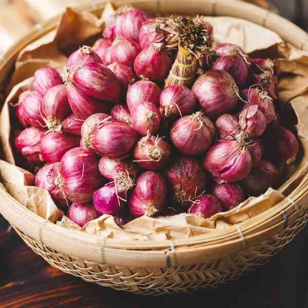 pickling-onion-purplette-seeds-1 pickling-onion-purplette-seeds-1