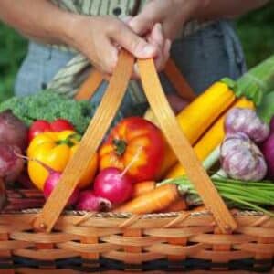 Vegetable Seeds
