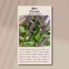 mint-korean-front