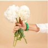 poppy-doubl-cream-seeds-6