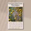 billy-buttons-front