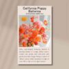california-poppy-front