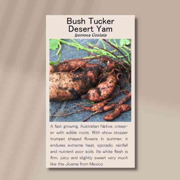 desert-yam-front desert-yam-front