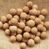 quandong-seeds-3