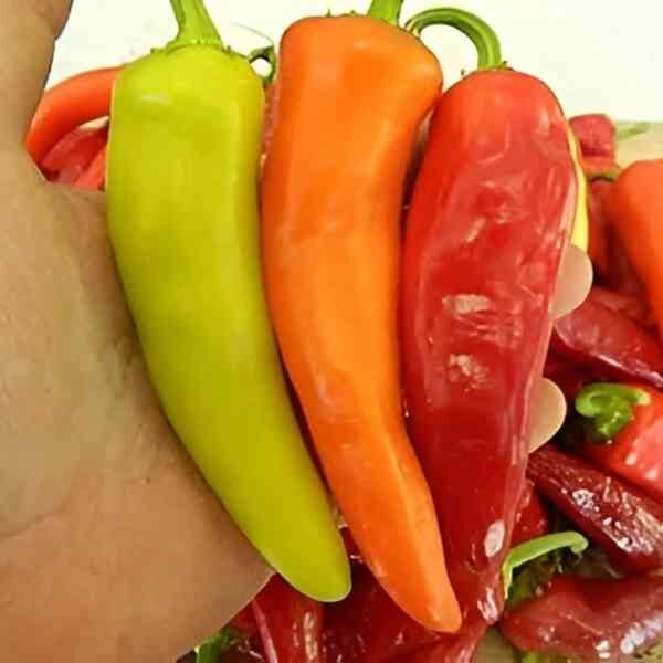 chilli-hungarian-hot-wax-seeds-3 chilli-hungarian-hot-wax-seeds-3