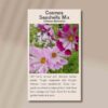 cosmos-seashells-front