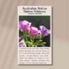 native-hibiscus-front