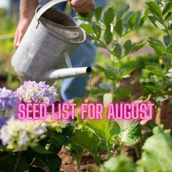 seed list for august seeds