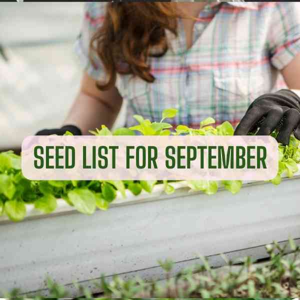 seed list september
