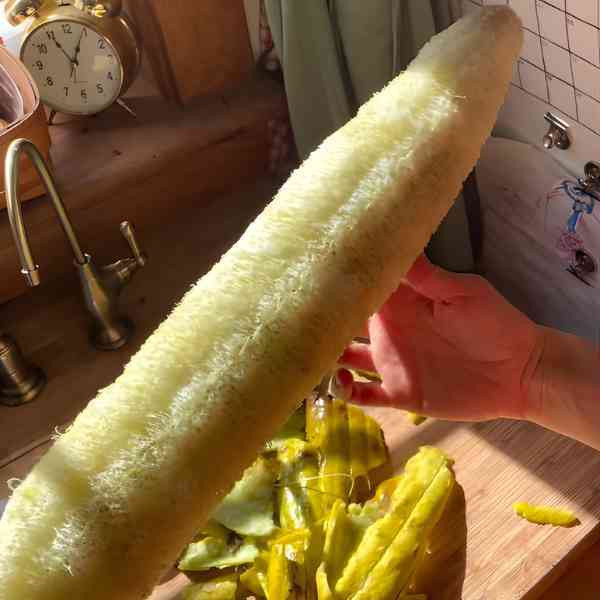 luffa post 3