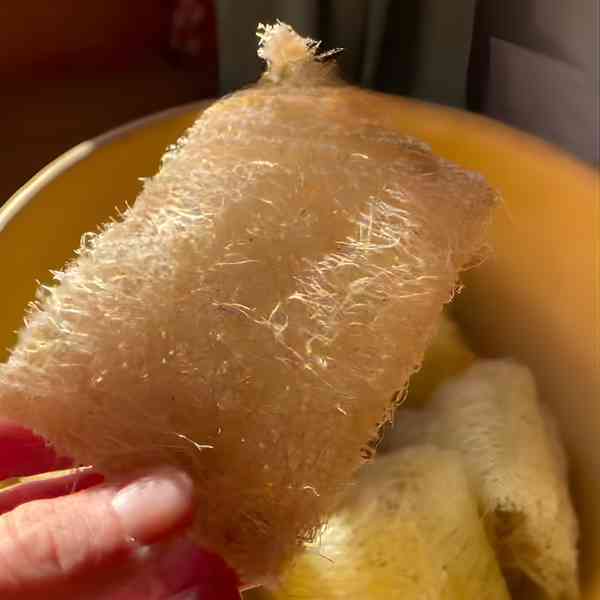 luffa post 7