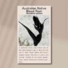 blood-root-front