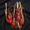 native-blood-root-seeds-4