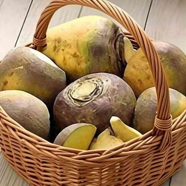 swede-aspen-seeds-2 swede-aspen-seeds-2