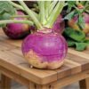swede-aspen-seeds-3