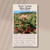 nitre-bush-front