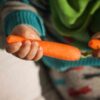 carrot-berlicum-seeds-2