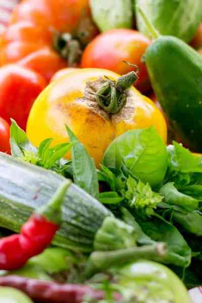 vegetable seeds header portrait