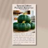 pumpkin-buttercup-front