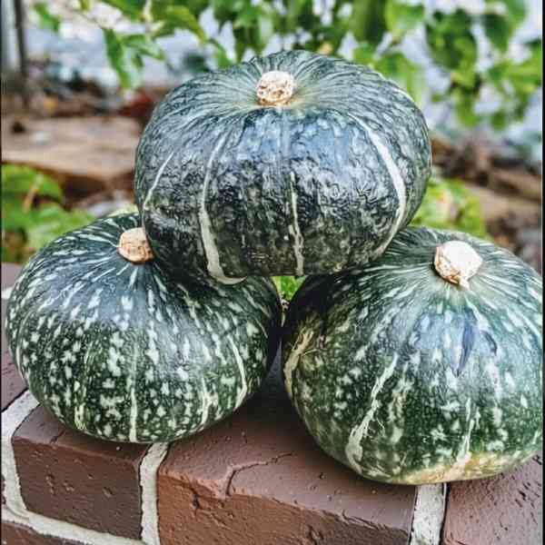 pumpkin-buttercup-seeds-3 pumpkin-buttercup-seeds-3