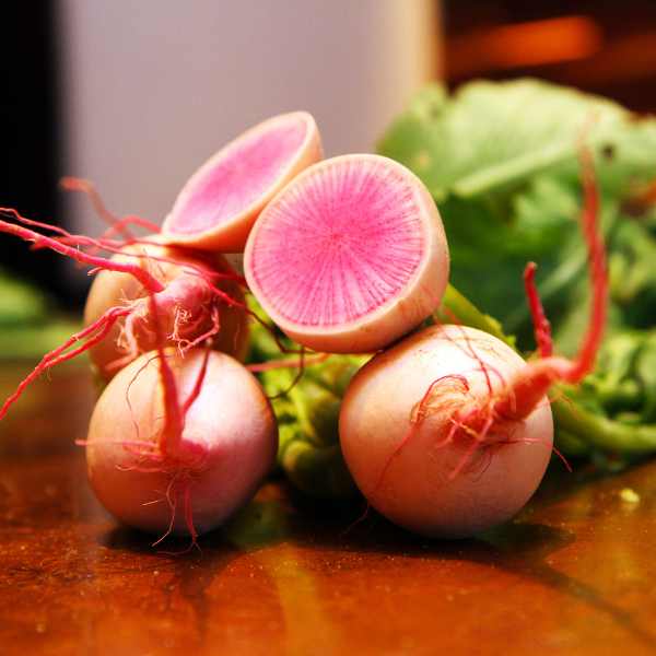 radish watermelon seeds2