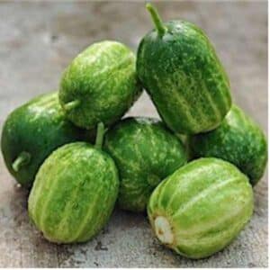 Cucumber Richmond River Green Apple