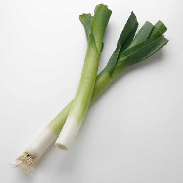 leek carenten seeds