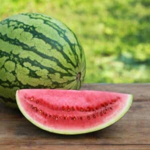 Watermelon Bush Jubilee