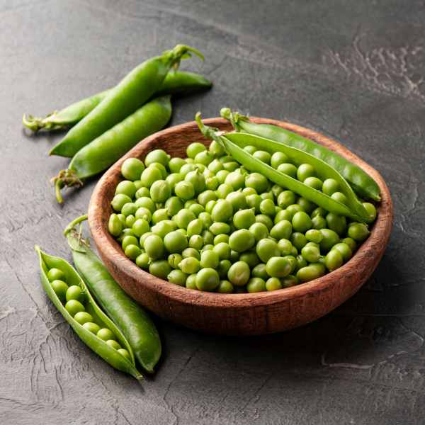 shelling pea massey gem seeds