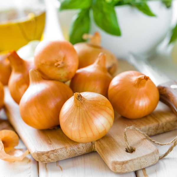 onion pukekohe long keeper seeds
