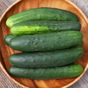 Cucumber Marketmore