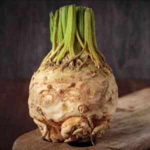 Celeriac Talar
