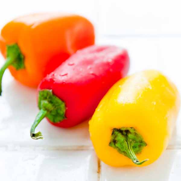 capsicum mini bell seeds