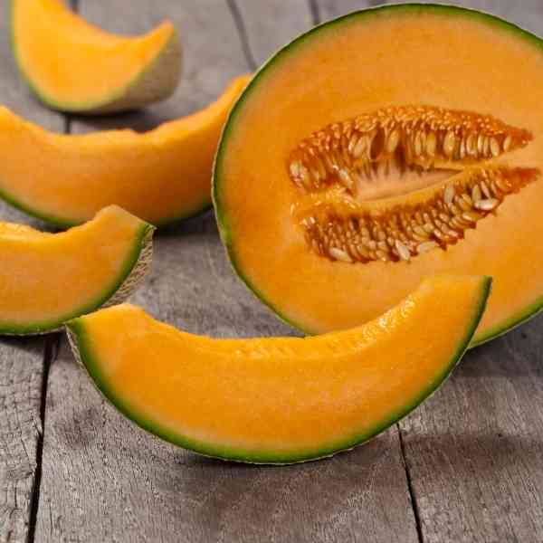 rock melon hales best seeds